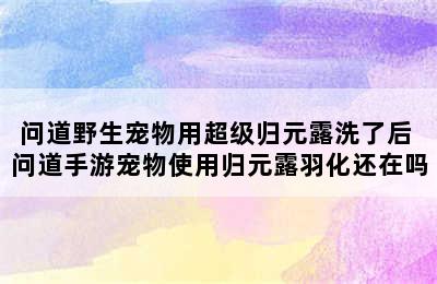 问道野生宠物用超级归元露洗了后 问道手游宠物使用归元露羽化还在吗